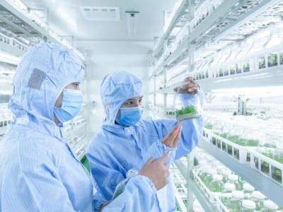 組織培養(yǎng)凈化工程：組培室車間凈化裝修設計布局及參數(shù)